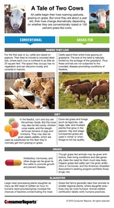Consumer Reports A Tale of Two Cows